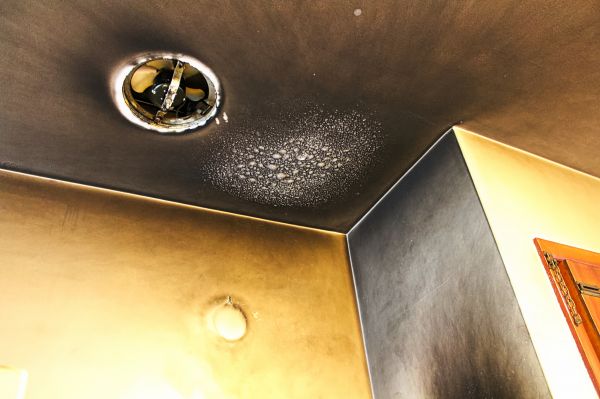 Cost of Smoke Damage Removal in Auburn
